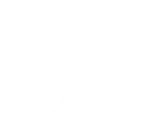 banner logo
